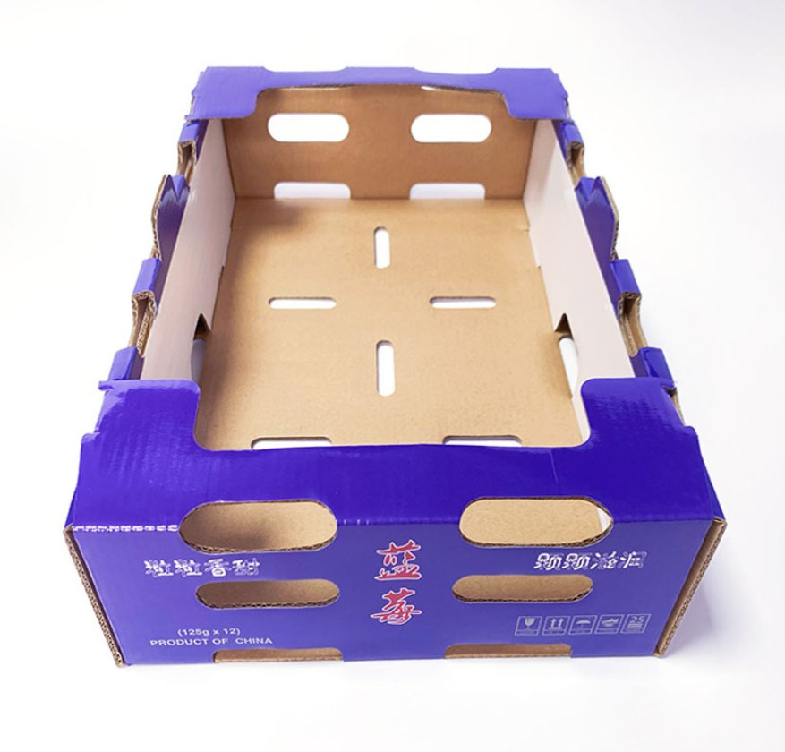 Products packaging image fruitBlueberryBox