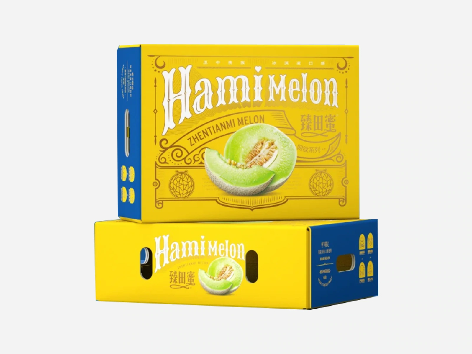 Yellow and blue ventilated melon packaging cartons