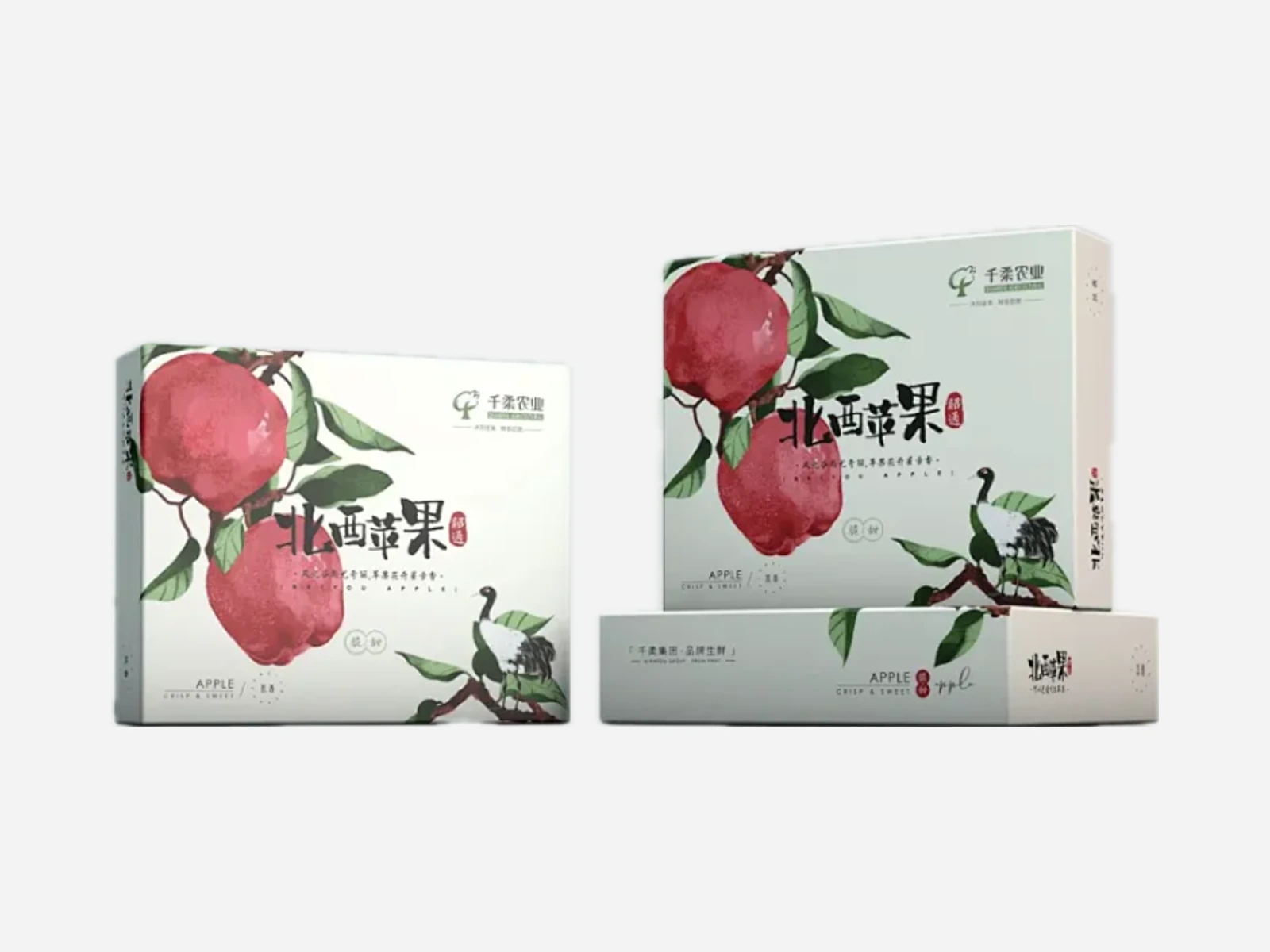 Printed apple gift cartons in two sizes