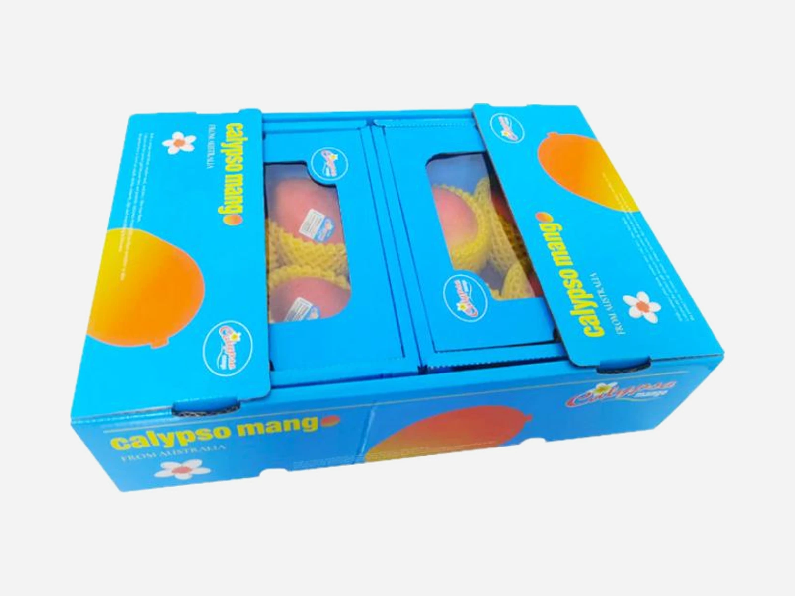 Mango corrugated carton with viewing windows