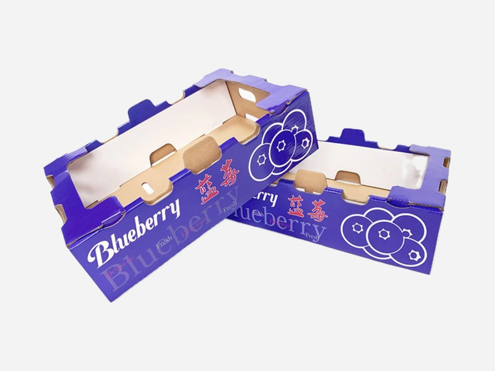 Printed blueberry display trays with stacking tabs