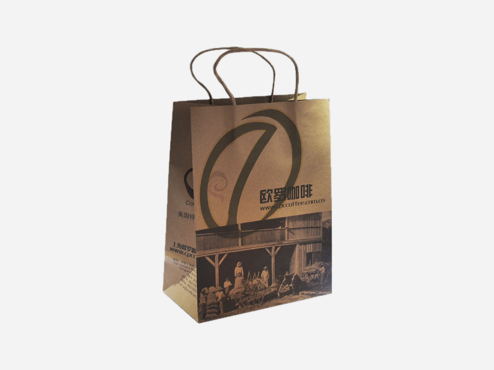 Printed kraft retail paper bag